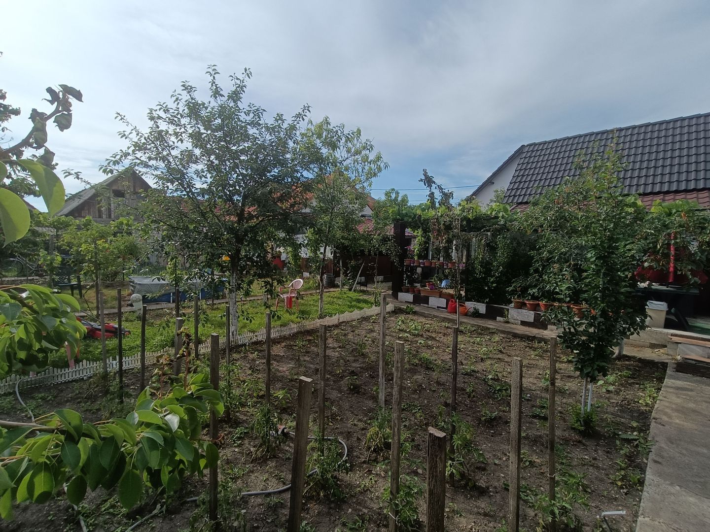 Casă de vanzare cu 4 camere 107 mpu pivnita anexe curte gradina Sebes - Poză 15