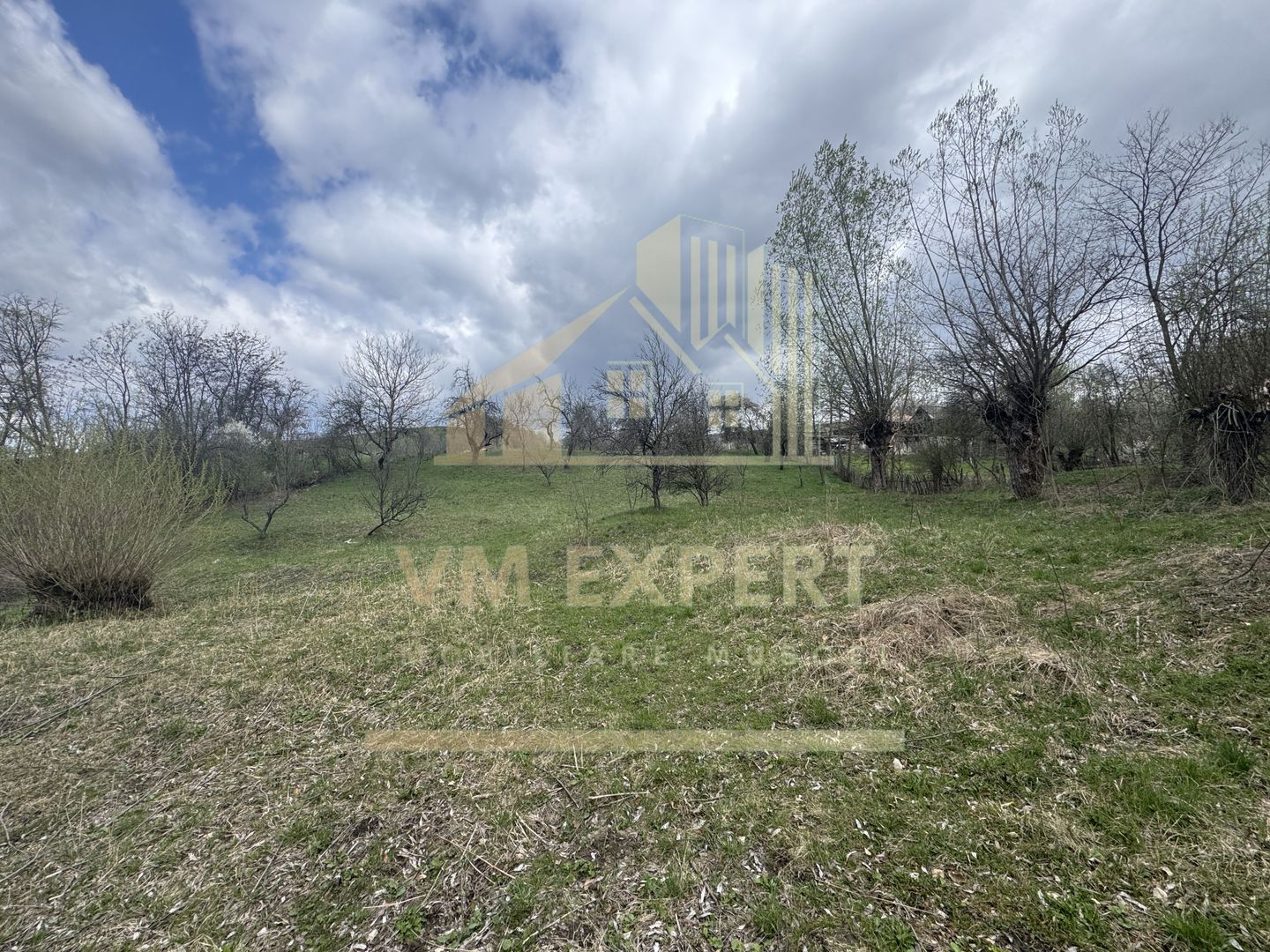 TEREN INTRAVILAN 4365 MP POENARII DE MUȘCEL  JUDEȚUL ARGES - Poză 2