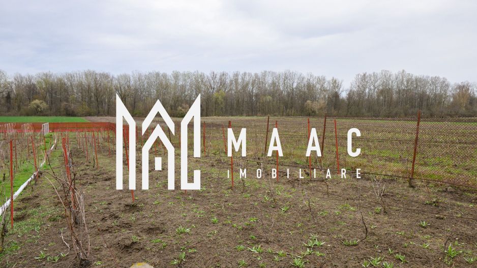 CASA DE VANZARE|  2087 MP TEREN| COMUNA FARTATESTI| - Poză 13