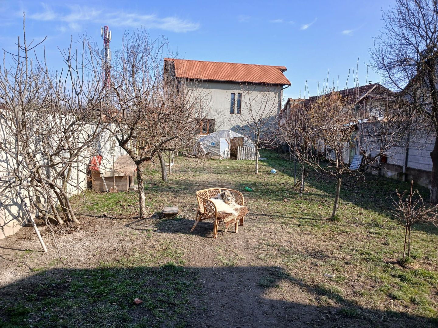 Casa P+ M - Poză 12