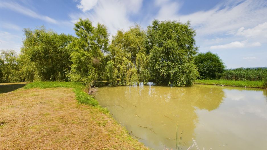 Moară istorică cu teren și luciu de apă în Aldești - Poză 3