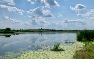 Teren Crevedia 45000 mp - Poză 2