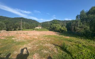 TEREN INTRAVILAN 3296 MP CAMPULUNG ARGEȘ - Poză 7