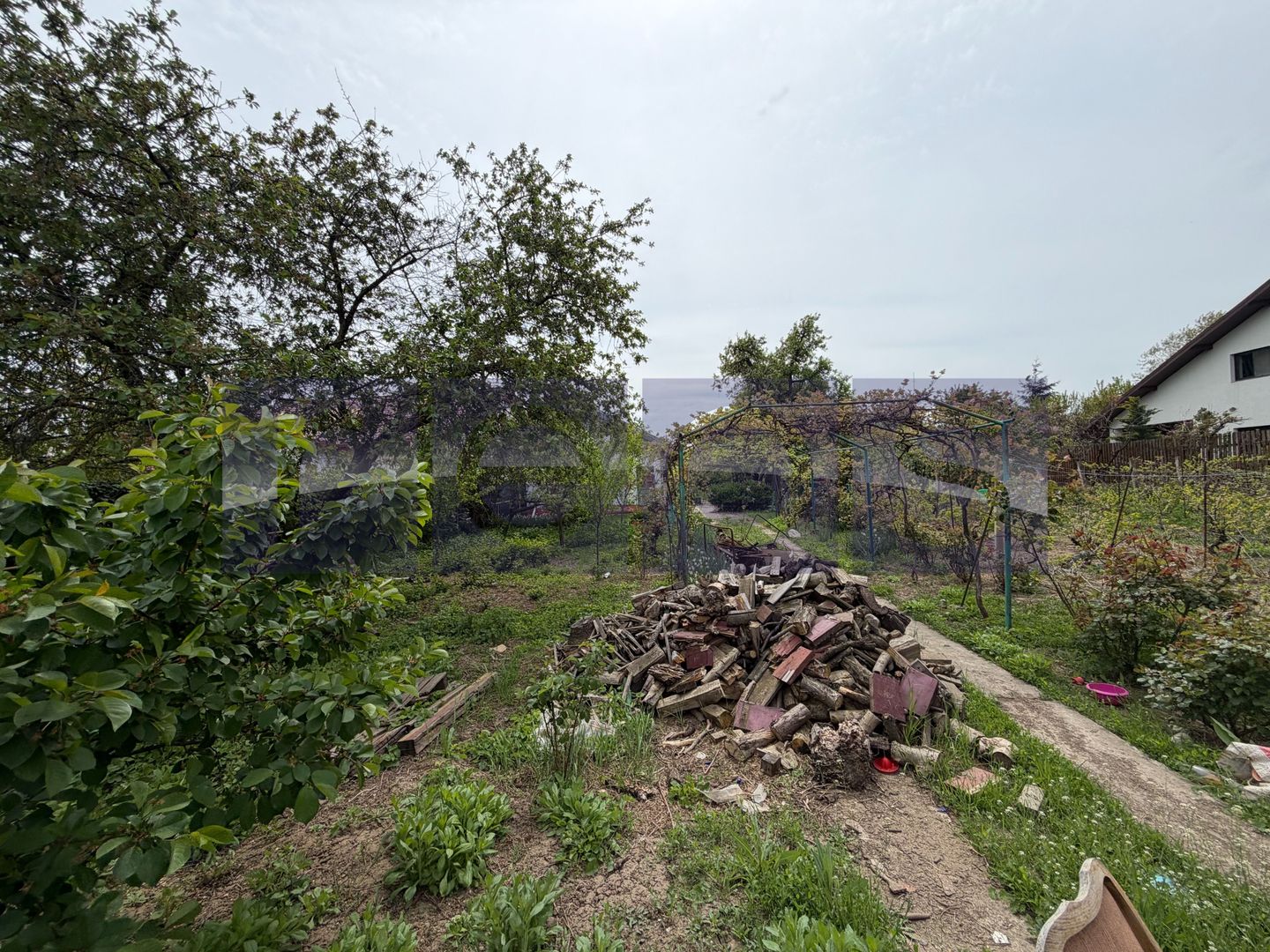 TEREN INTRAVILAN DE VANZARE | OTOPENI | 1.530 MP | DESCHIDERE 26 ML | - Poză 6