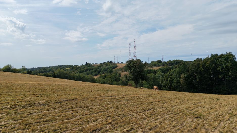 Teren Intravilan 17.800 mp Șinteu - Poză 3