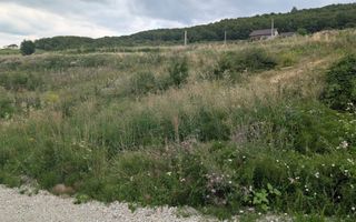 Teren 1000 mp cu utilitati-ideal casa, cabana, investitie-Dealul Jelnei - Poză 1