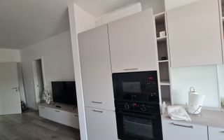 Inchiriere garsoniera Pipera - Poză 1