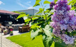 OFERTA VANDUTA - Casa Sacalaz - curte superba | 180 mp, 5 camere - Poză 10