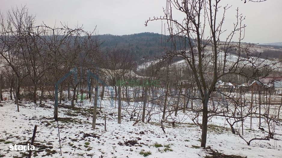 Teren intravilan 704 mp, acces asfaltat, priveliste Padurea Breazu - Poză 8