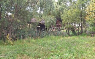 VANZARE ANSAMBLU CASUTE BRADULET ARGES - Poză 8