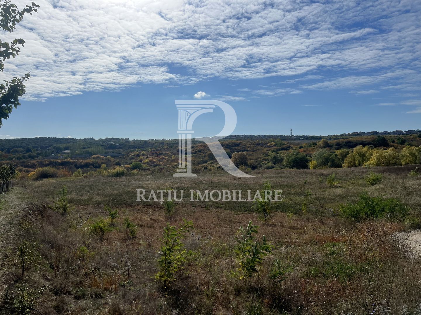 Teren intravilan 3961 MP | Paleu | Bihor - Poză 2