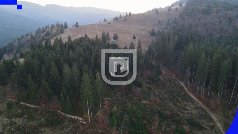 Teren situat in Frasin | BUCOVINA - Poză 5