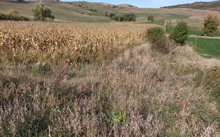 Teren 1,99 Ha la DJ-ideal agricultura, piscicultura, cabane, lac-Teaca - Poză 2