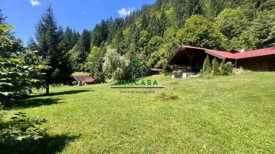 Proprietate deosebita de vanzare – Voinesița, Comuna Voineasa - Poză 11