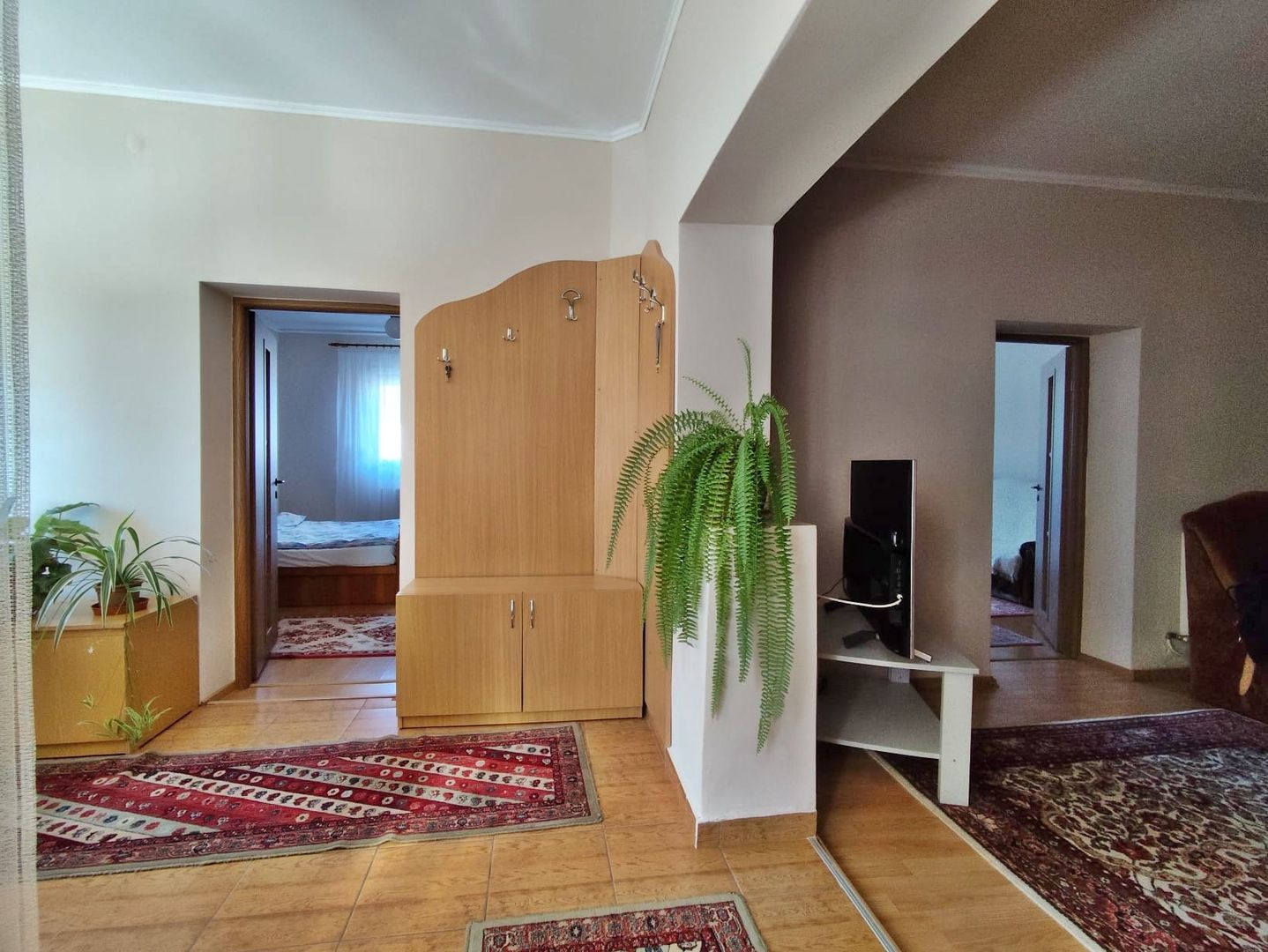 Casa la tara - teren 2826 mp, acces auto, in Sacadat, Bihor - Poză 3