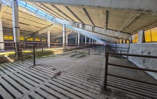 Spațiu industrial -fermă Orțișoara