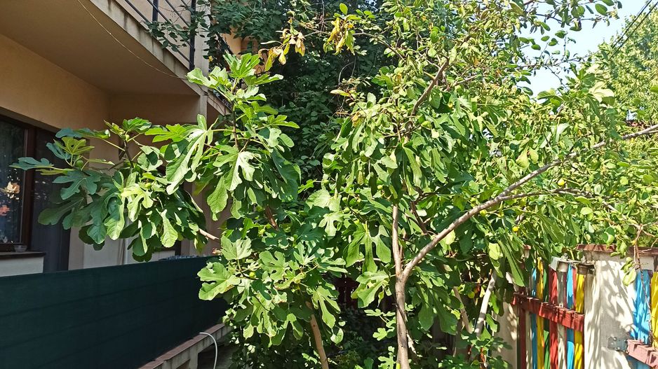 2cam.dec-et.1+parcare+gradina amenajata/15min metrou D.Leonida - Poză 41