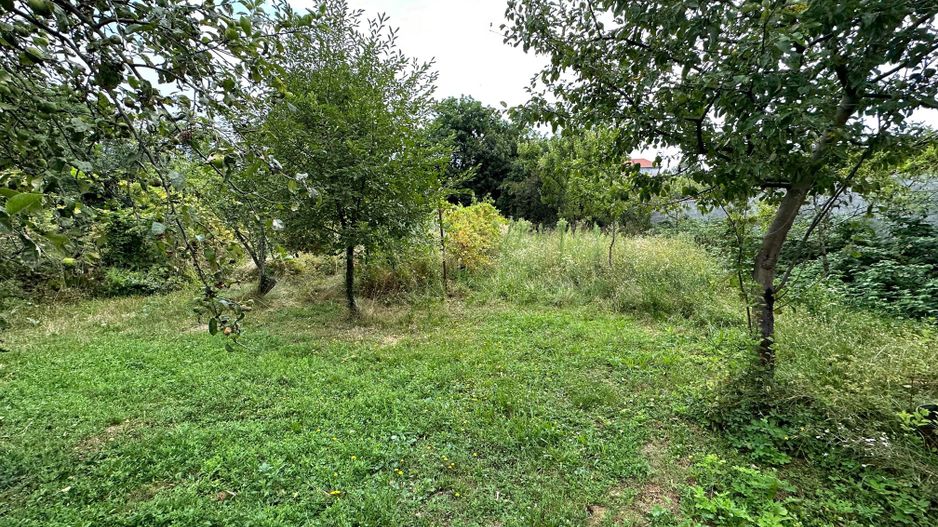 Casa zona Bălcescu teren 1082 mp - Poză 3