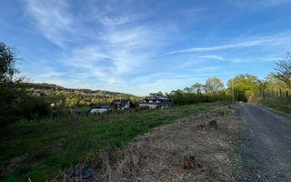 Teren la poalele Cetății Cisnadioarei de vânzare/1250 mp - Poză 10