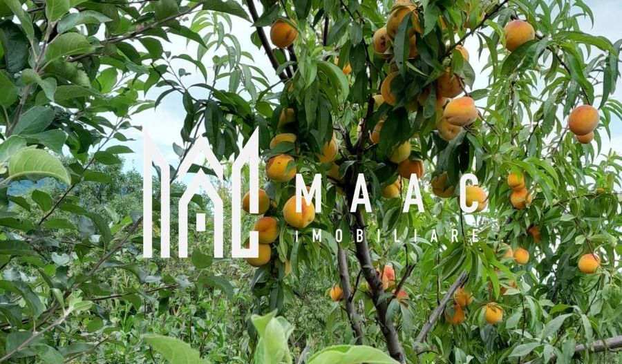 Casa individuala | 4 camere | Teren 2000 MP | Seica Mare - Poză 7