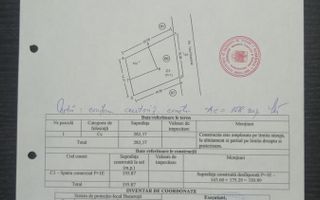 Teiul Doamnei numarul 89, Bucuresti, Sector 2 - Poză 2