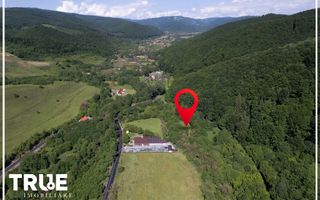 Teren intravilan 2.800 m² în Câmpu Cetății – liniște și natură - Poză 2