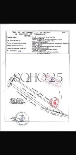 Coreanca  8000 mp intravilan - Poză 2