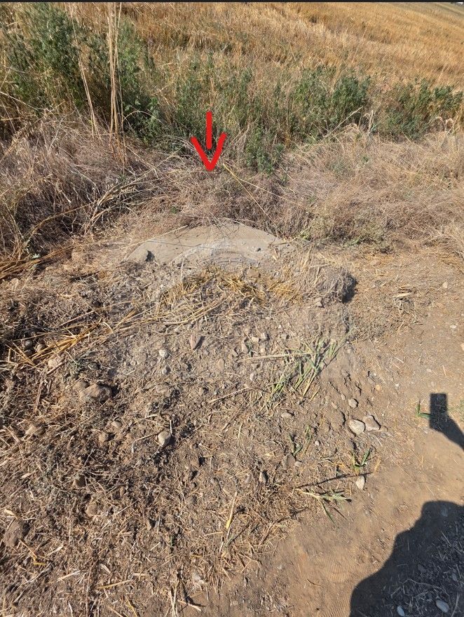 Teren intravilan 5.450 mp – Strada Castanilor, Ciorogârla – zonă rezidențială în - Poză 4