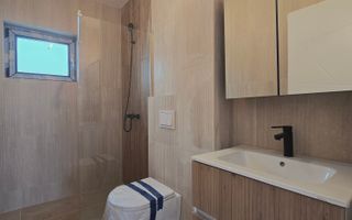 Casa parter-410mp teren-beci-pod-geamuri tripan-placa de beton - Poză 4
