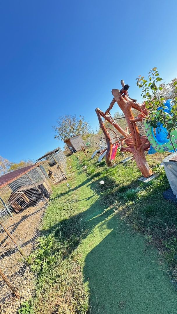 🏡 DE VÂNZARE CABANĂ ÎN BĂRĂBANȚ – PREȚ IMBATABIL! - Poză 6