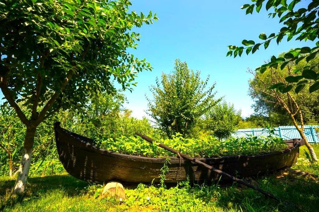 Oportunitate de investitie| Delta Dunarii |Mila 23| pensiune activa - Poză 5