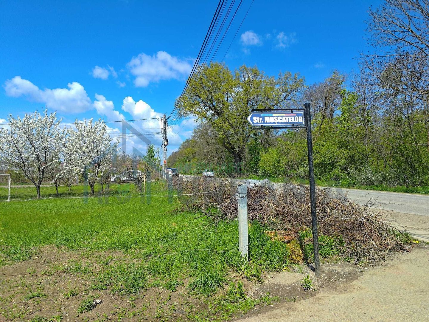 Teren intravilan în Breazu - Iași, vizavi de Pădurea Mârțești - Poză 6