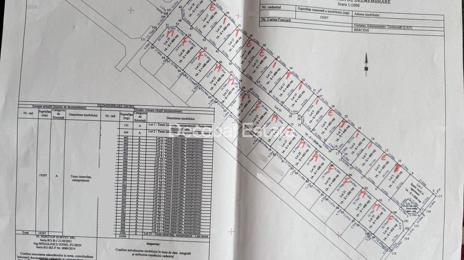 Teren 19397mp Dezmembrat in Loturi - Str. Primăverii Comuna Berceni - Poză 3
