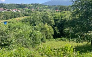 Teren 3779 mp Bran Predelut - Poză 8