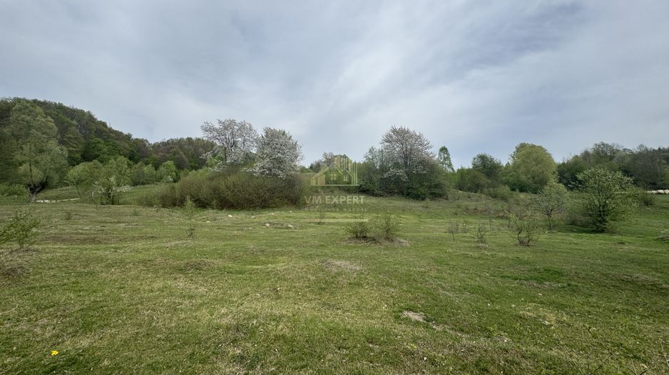 TEREN EXTRAVILAN 40000 MP, ALBESTI DE MUSCEL, CANDESTI - Poză 7