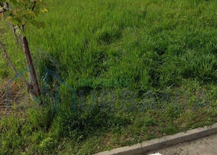 Teren intravilan - Poză 4