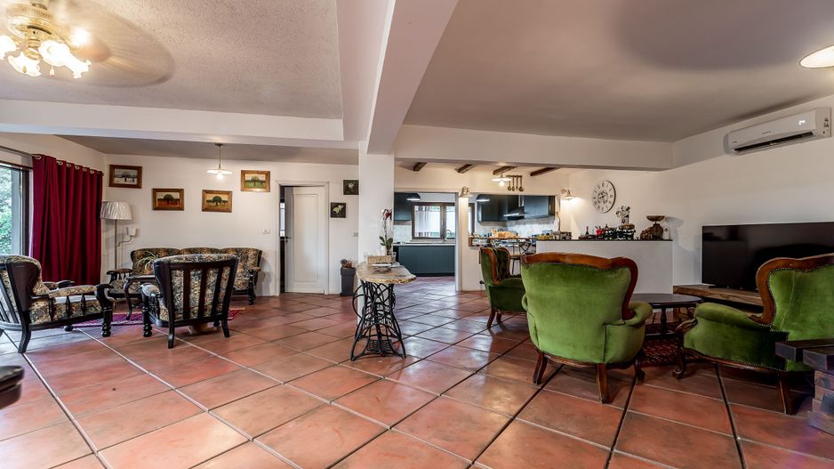 🇮🇹 Toscana de lângă Arad | Vilă cu 12.000 mp - Poză 12