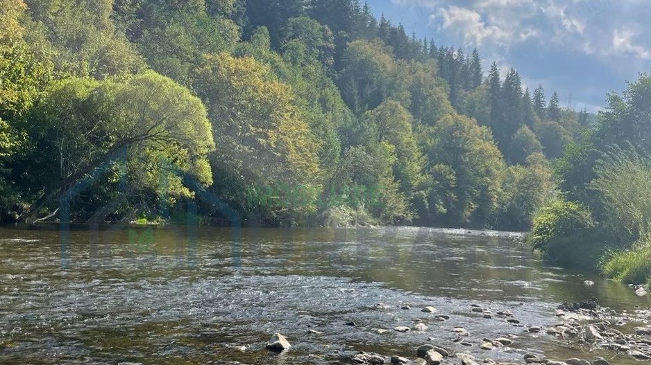 Teren de vânzare, 2.500 mp, Prisaca Dornei, zona Hurghiș, Câmpulung Moldovenesc - Poză 1