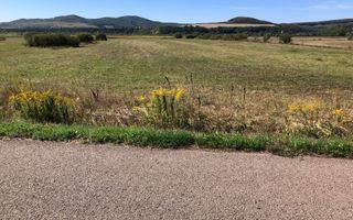 Teren 3500 mp la drum asfaltat-agricultura, investitie-Chintelnic - Poză 1