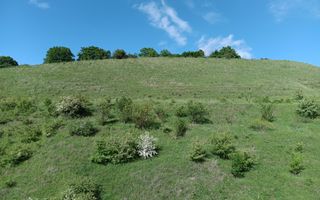 Apartament 2 Camere, 42mp,  2 balcoane, zona Stejarului - Poză 17