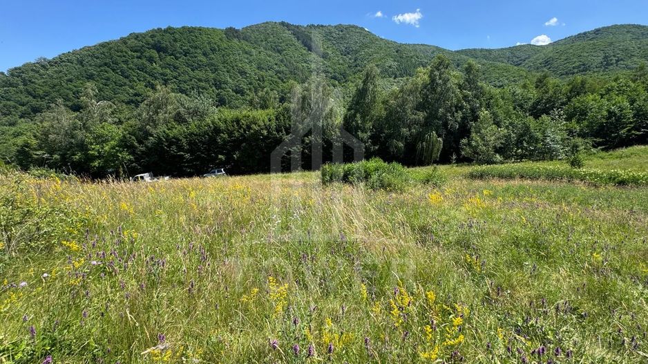 Teren intravilan 4600mp - 55 EUR/mp - EXCLUSIVITATE CISNADIOARA - COMISION 0% - Poză 11