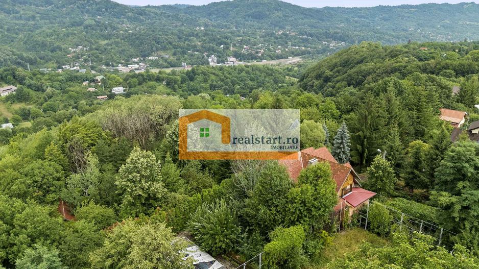 Pet Friendly, Vedere Padure, 5000mp teren, D+P+1E+M, semineu, foisor - Poză 47