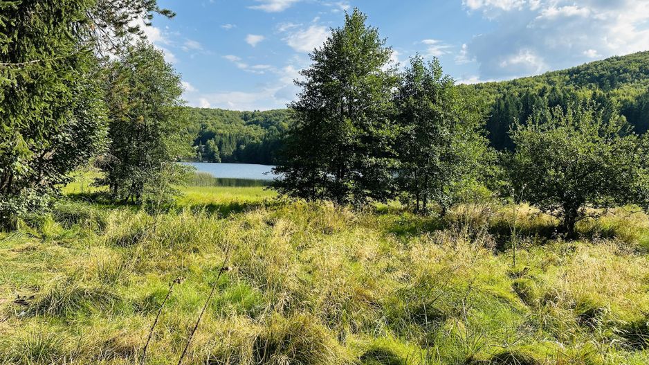 Un teren de vis cu deschidere la Lacul Trei Ape, Brebu Nou | Com 0% - Poză 2