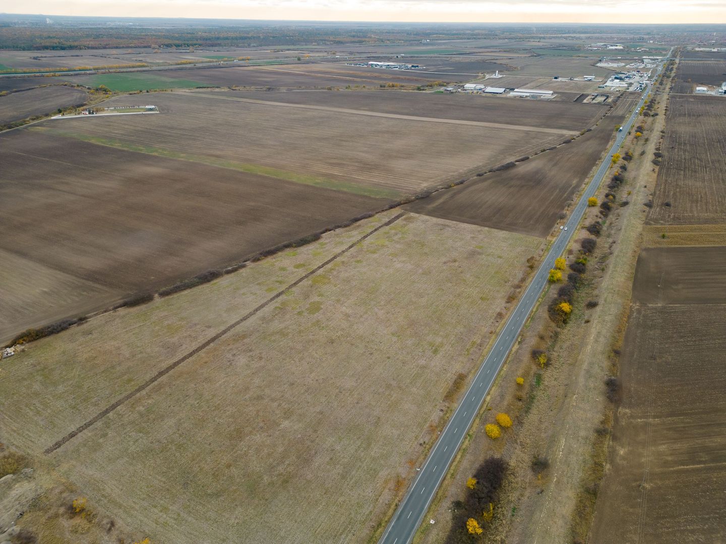 Teren 22.500 mp–Pecica, jud. Arad,Posibilitate PUZ - Poză 9