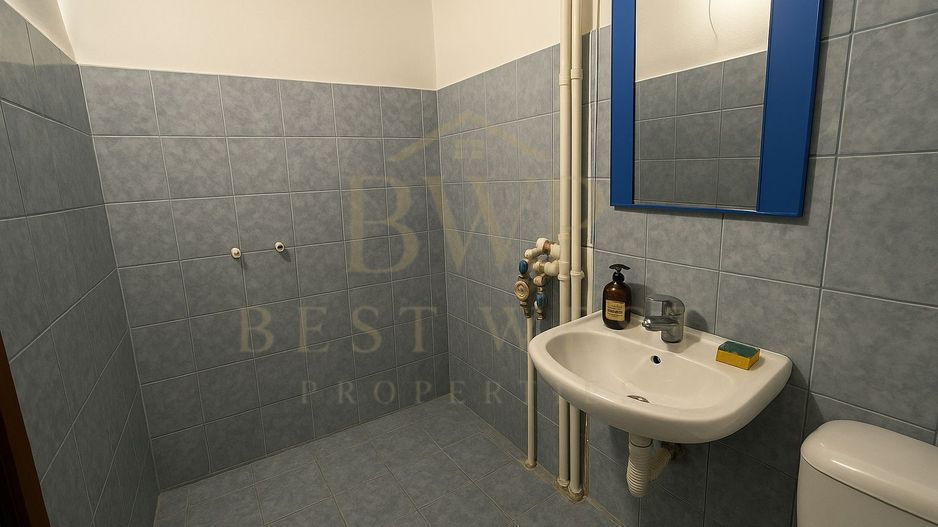 Garsonieră decomandată, etaj intermediar, Buziașului - Poză 3