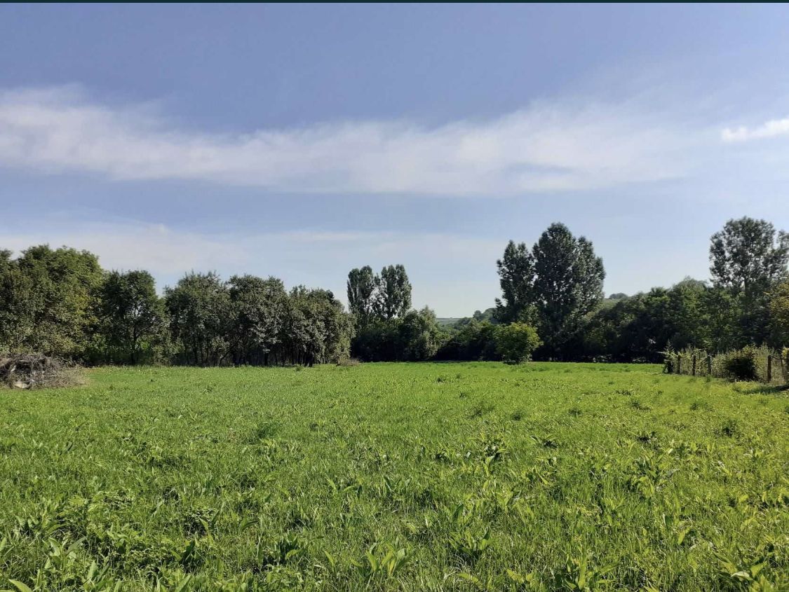 Vand casa cu gradina 4000 mp ca 12 Km de statiunea geotermala Tasnad - Poză 3