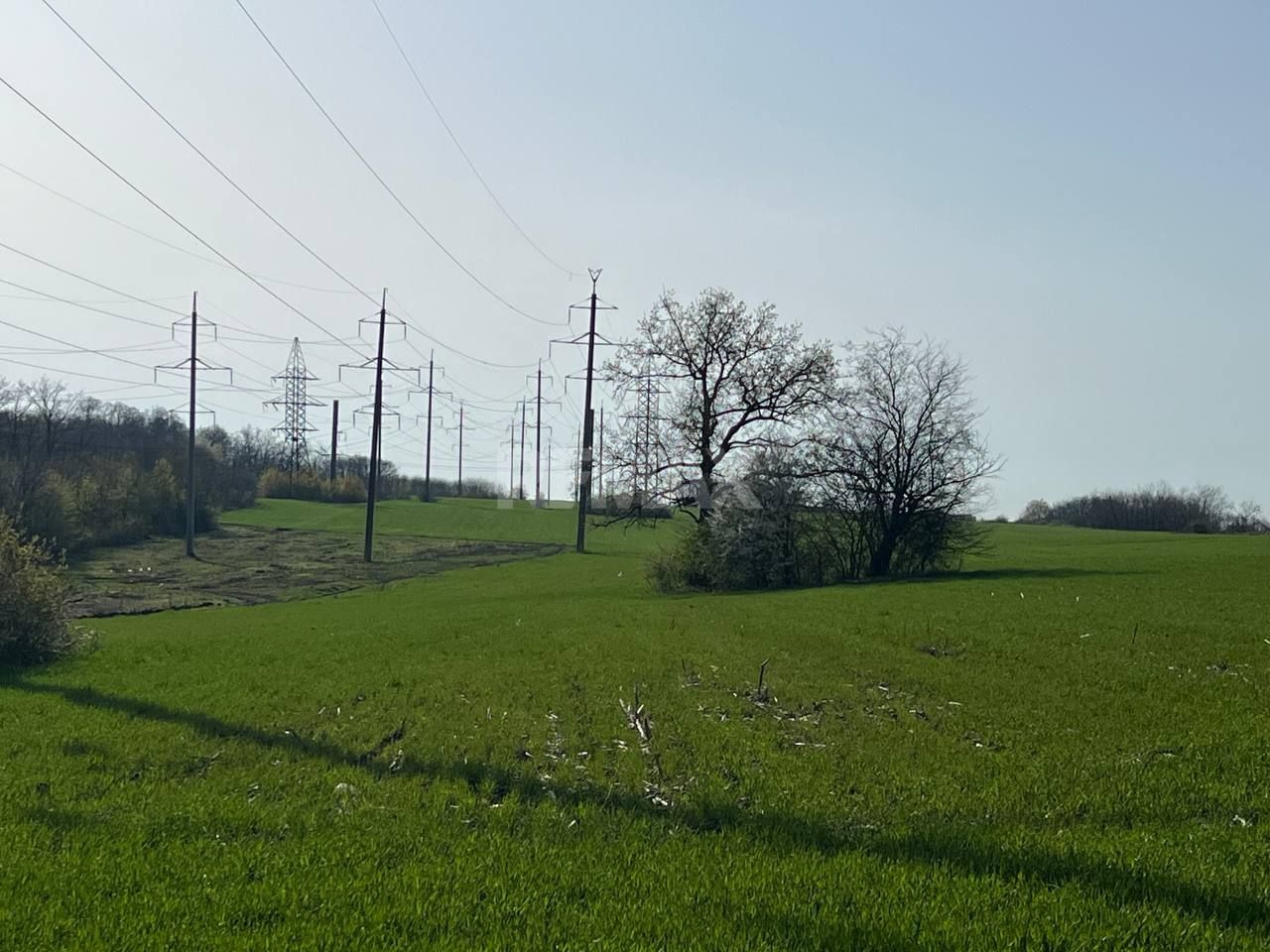 Teren 41,49 ari Ghidighici | deschidere 122 m | agricol | investiție - Poză 9