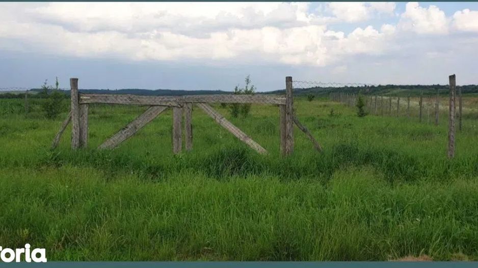 Ag EUROPA vinde 21 ari teren ingradit cu toate utilitatile în Ardud. - Poză 1