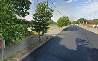 Teren 7381 m I Buftea Macului I zona de case - Poză 2