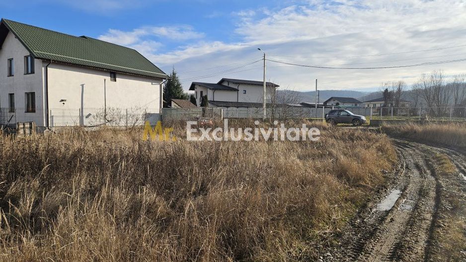 Teren 1.250 mp, toate utilitatile – Bascov, Valea Ursului, AG - Poză 3